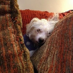 Meet your Posher, Maryann